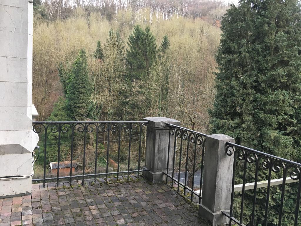 Chateau Bleu Hotel Trooz Zewnętrze zdjęcie